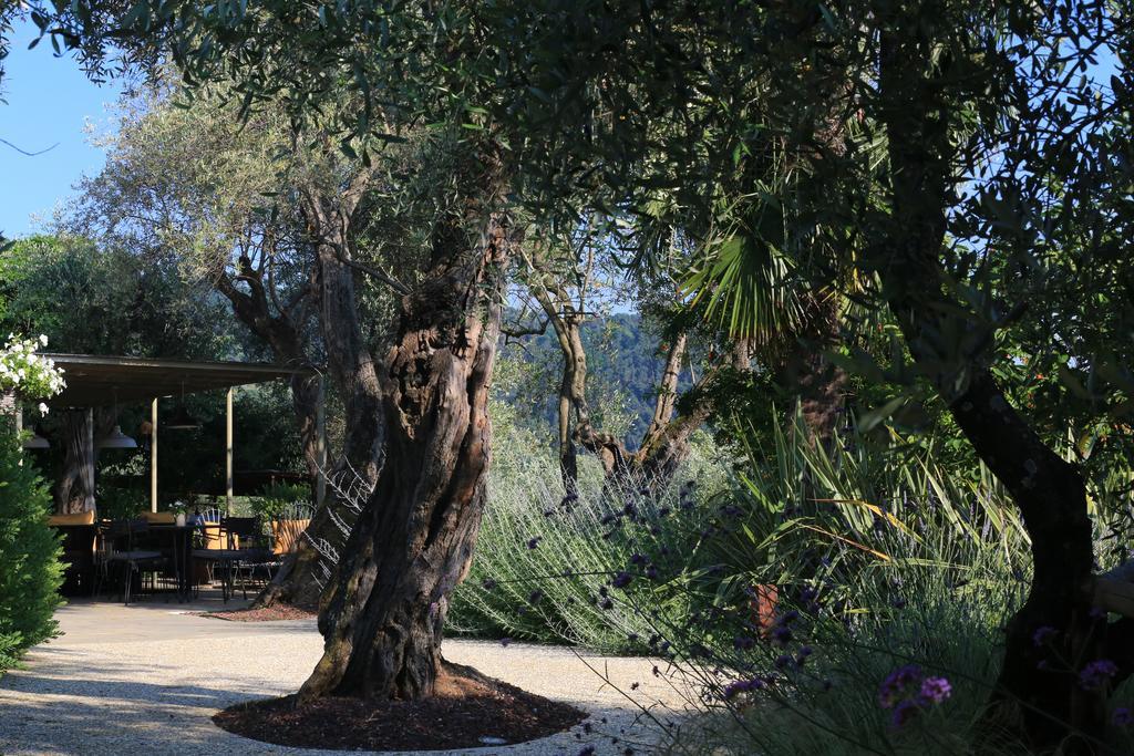 Hotel Locanda al Colle Camaiore Esterno foto